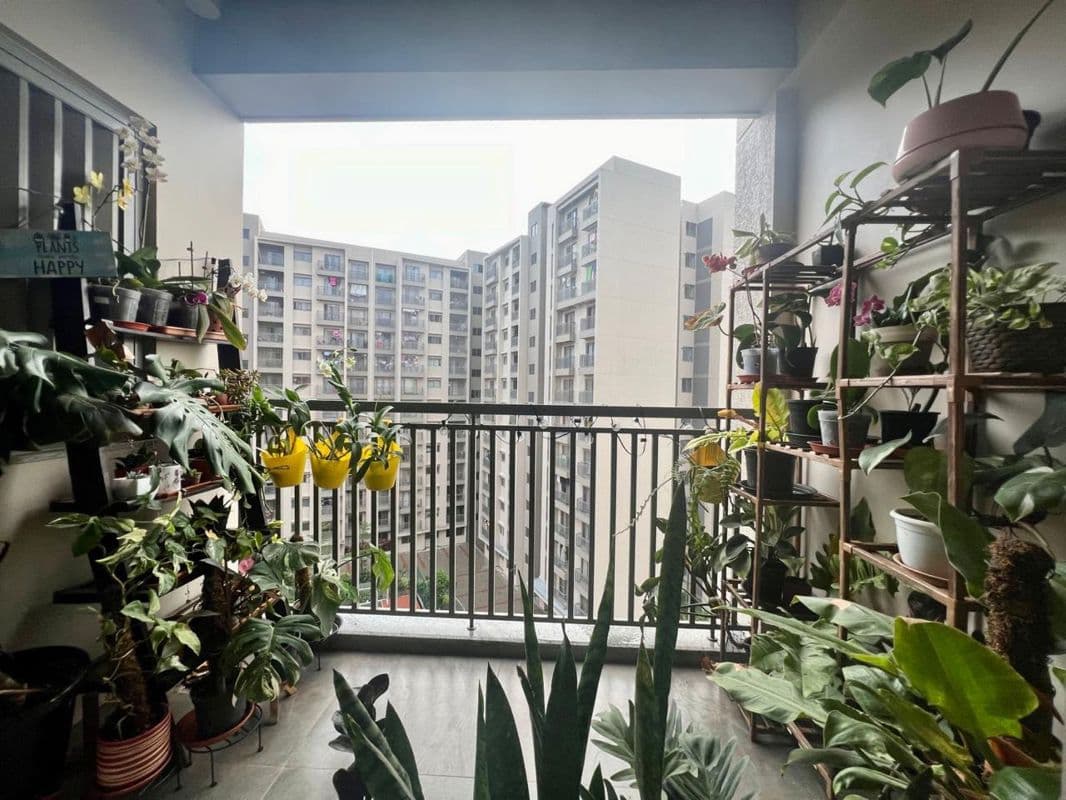 Goyal Orchid Piccadilly 3BHK